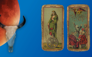 Alcina 2016 Web Header