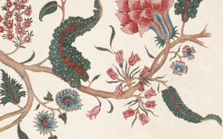 Figaro 2016 Web Header