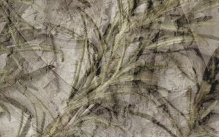 Jenufa 2016 Web Header