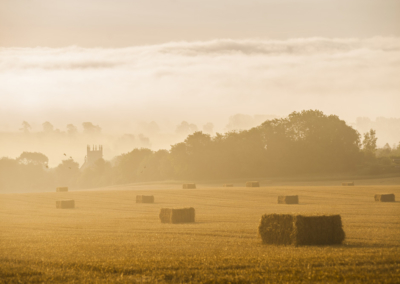 Cotswolds