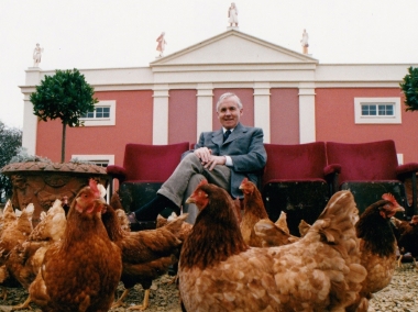 Martin Chickens Header