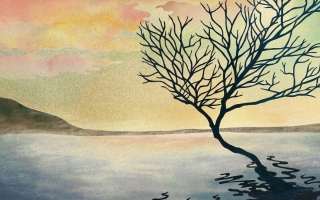 24 Rhinegold 2400X900